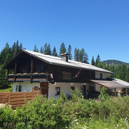 Ferienhaus Schaefer - Apartments - Wintersports - Family Holiday - Holiday With Your Dog - Rural & Scenic Flattnitz Екстериор снимка