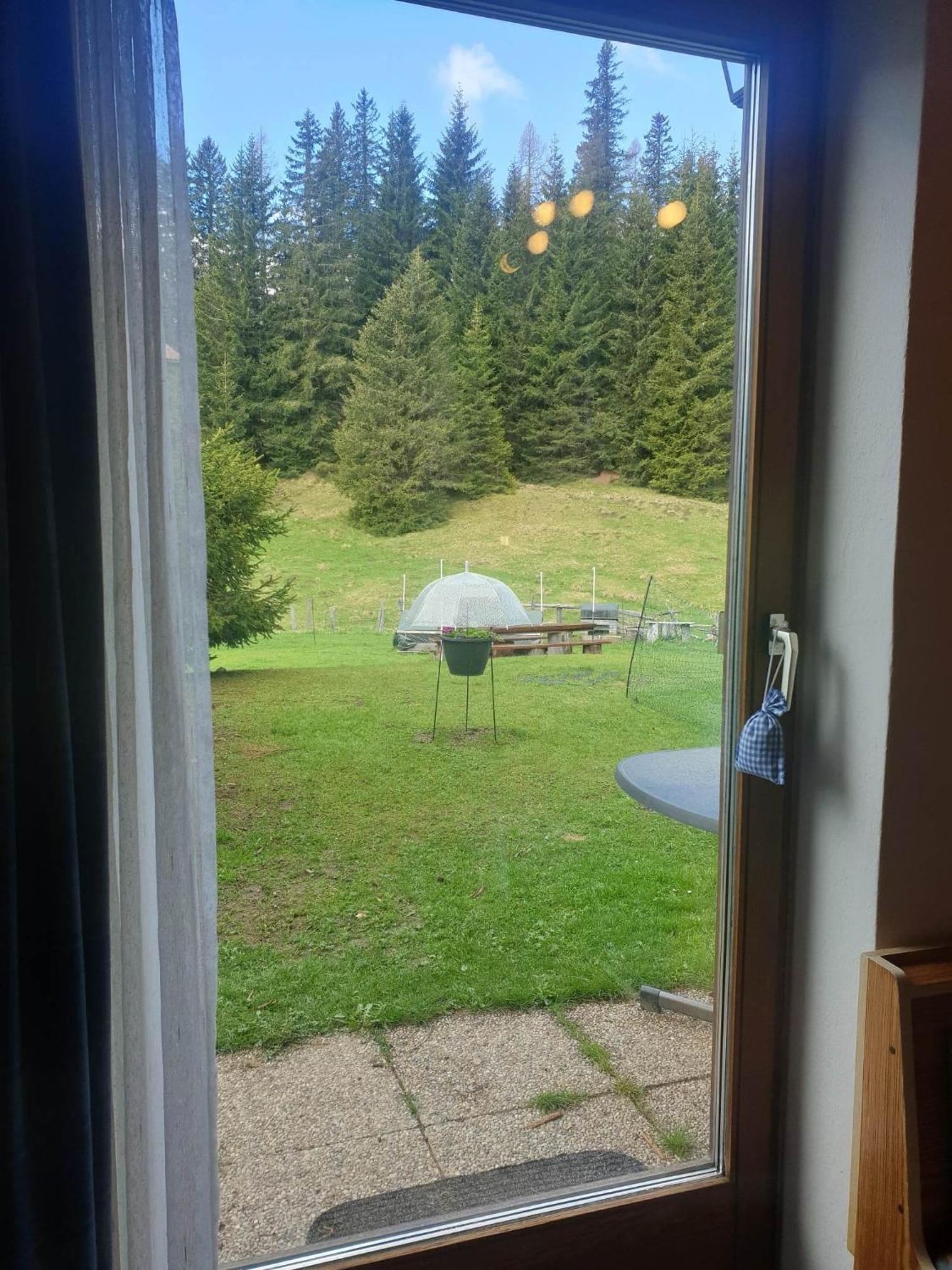 Ferienhaus Schaefer - Apartments - Wintersports - Family Holiday - Holiday With Your Dog - Rural & Scenic Flattnitz Екстериор снимка