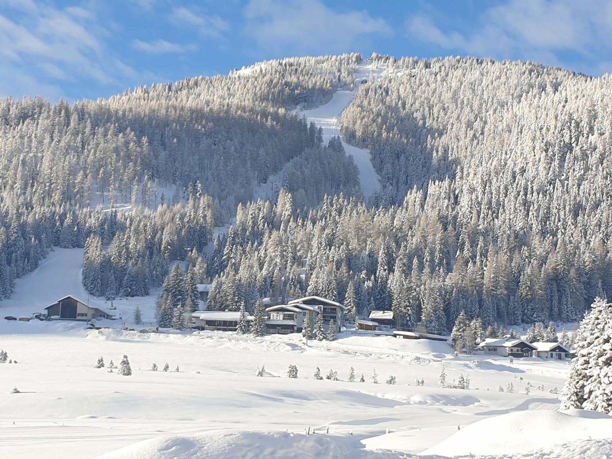 Ferienhaus Schaefer - Apartments - Wintersports - Family Holiday - Holiday With Your Dog - Rural & Scenic Flattnitz Екстериор снимка