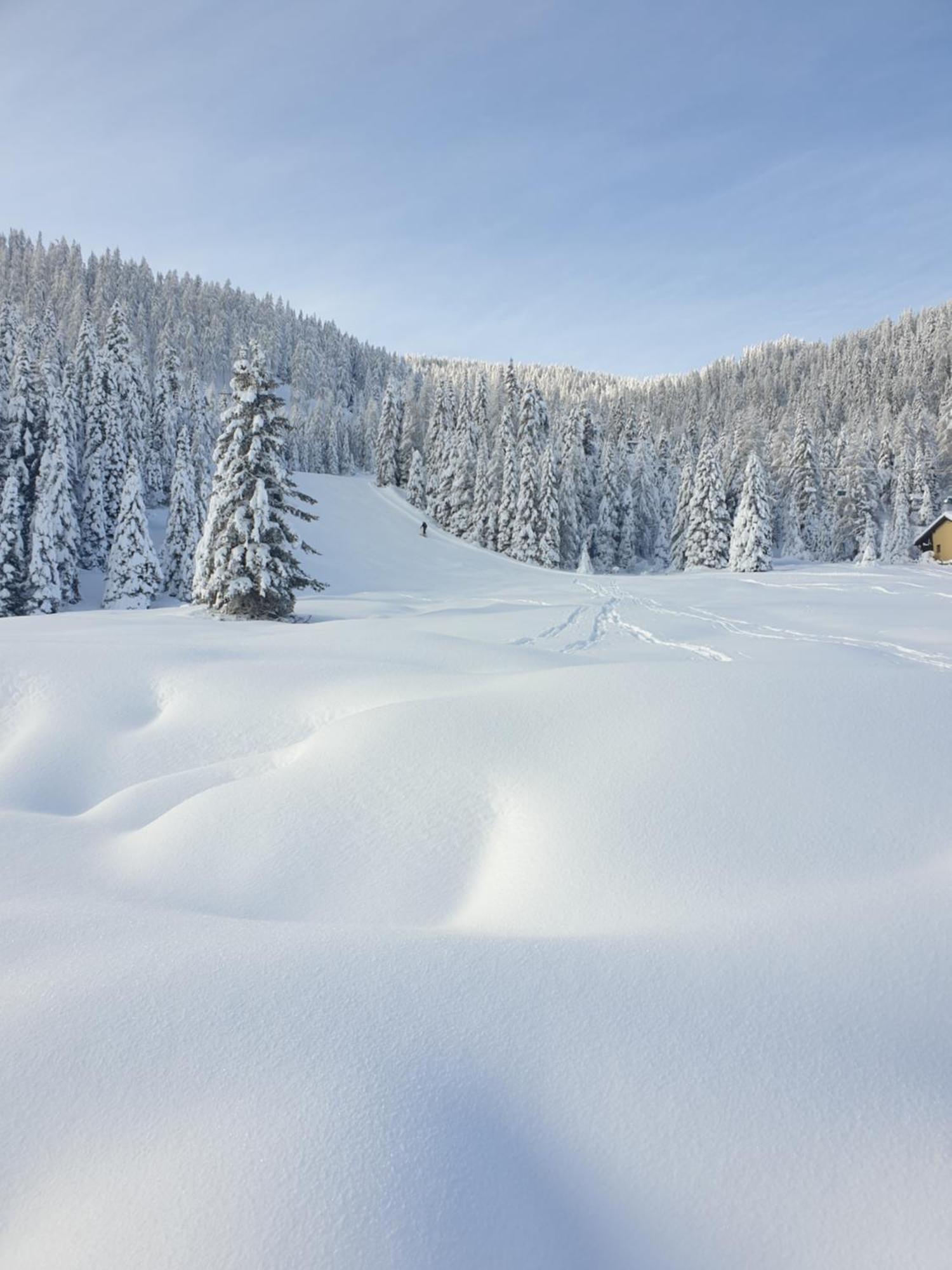 Ferienhaus Schaefer - Apartments - Wintersports - Family Holiday - Holiday With Your Dog - Rural & Scenic Flattnitz Екстериор снимка