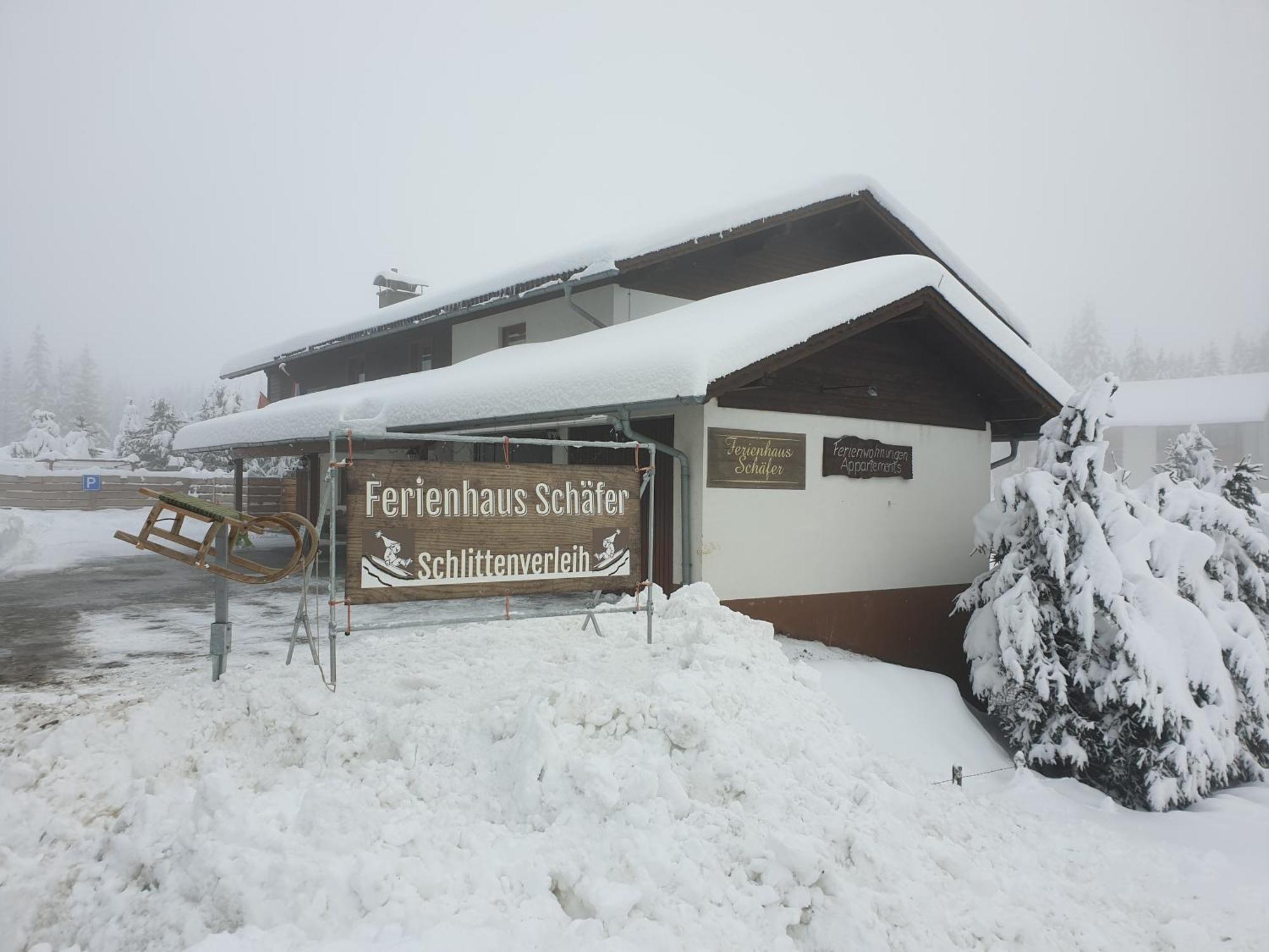 Ferienhaus Schaefer - Apartments - Wintersports - Family Holiday - Holiday With Your Dog - Rural & Scenic Flattnitz Екстериор снимка