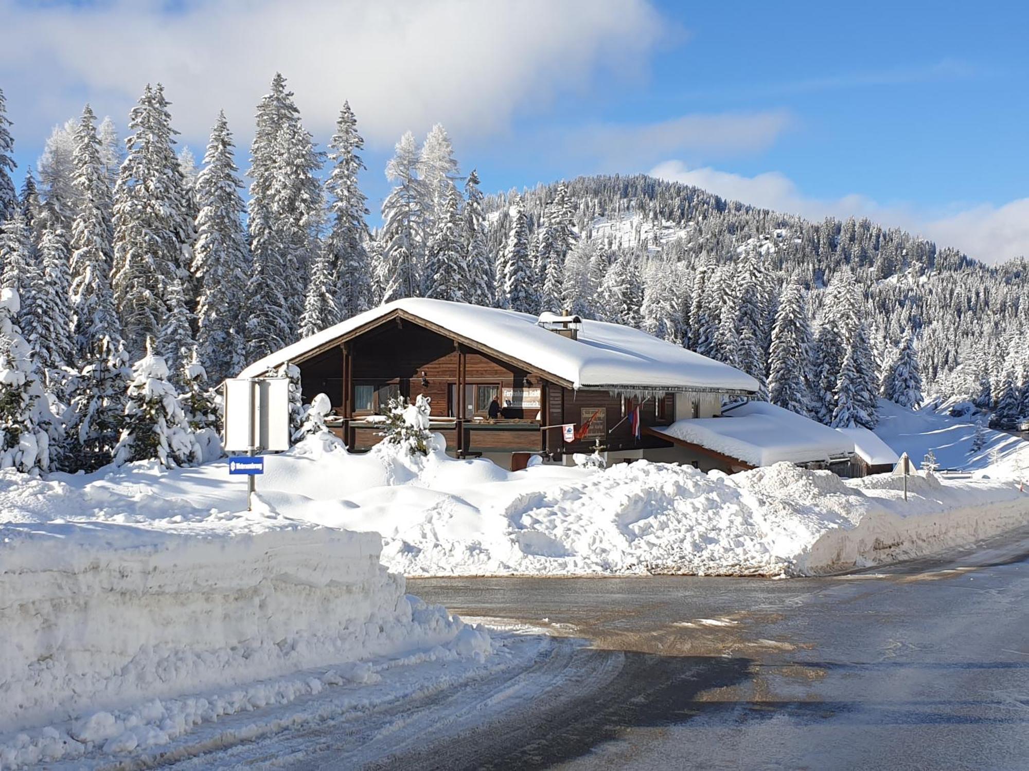 Ferienhaus Schaefer - Apartments - Wintersports - Family Holiday - Holiday With Your Dog - Rural & Scenic Flattnitz Екстериор снимка
