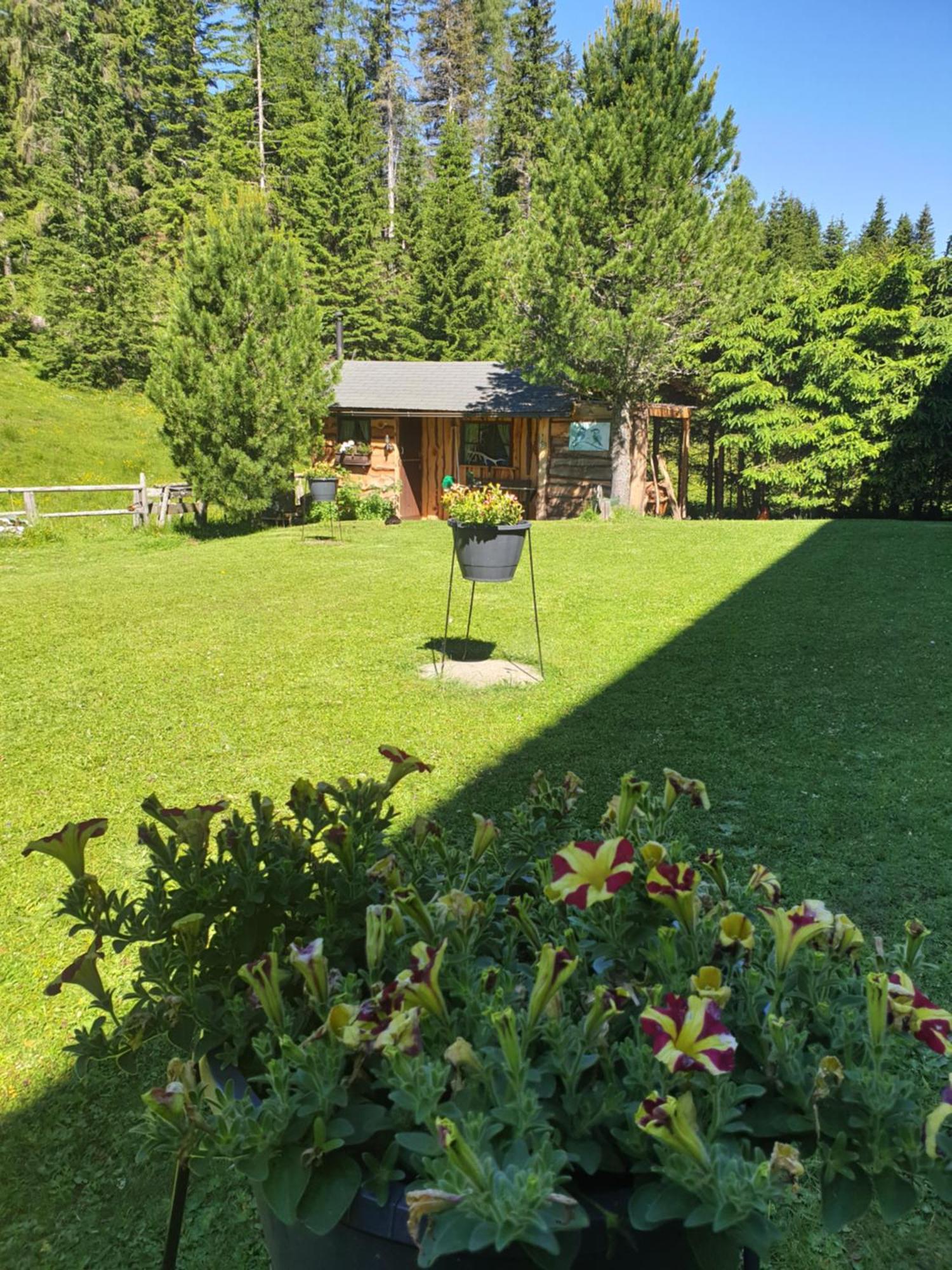 Ferienhaus Schaefer - Apartments - Wintersports - Family Holiday - Holiday With Your Dog - Rural & Scenic Flattnitz Екстериор снимка