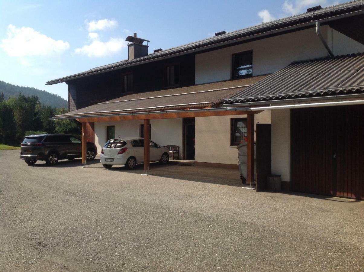 Ferienhaus Schaefer - Apartments - Wintersports - Family Holiday - Holiday With Your Dog - Rural & Scenic Flattnitz Екстериор снимка