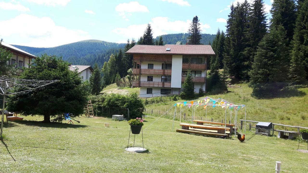 Ferienhaus Schaefer - Apartments - Wintersports - Family Holiday - Holiday With Your Dog - Rural & Scenic Flattnitz Екстериор снимка